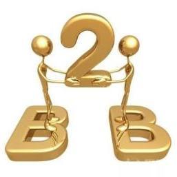電器輔件B2B電子商務(wù) 機(jī)遇、挑戰(zhàn)與戰(zhàn)略升級(jí)